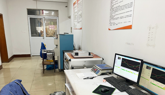 Laboratory iron loss test